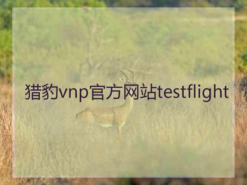 猎豹vnp官方网站testflight