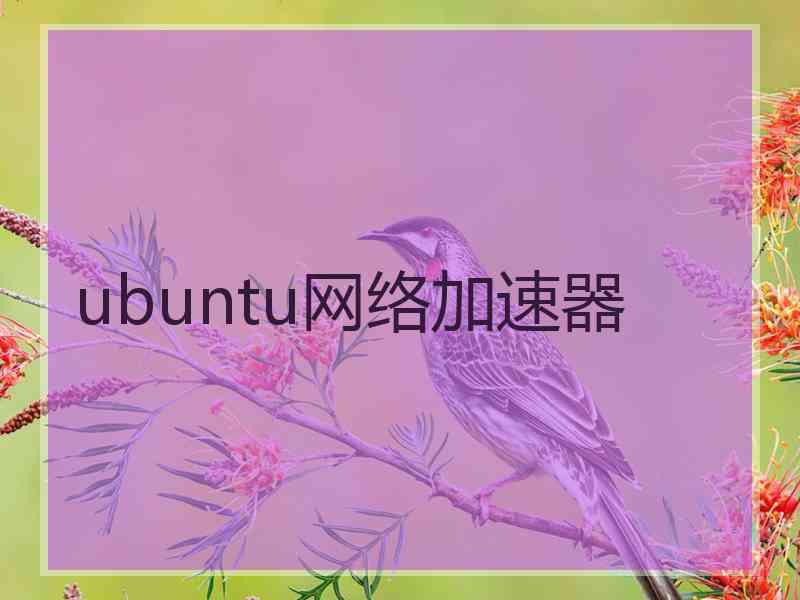 ubuntu网络加速器