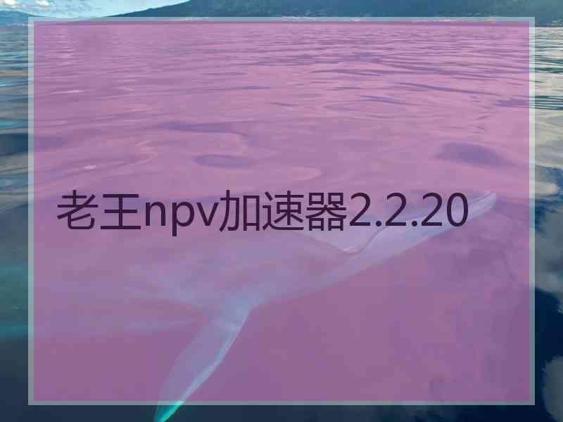老王npv加速器2.2.20