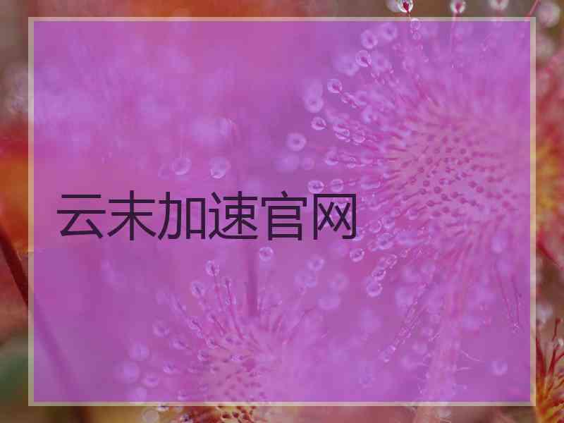 云末加速官网