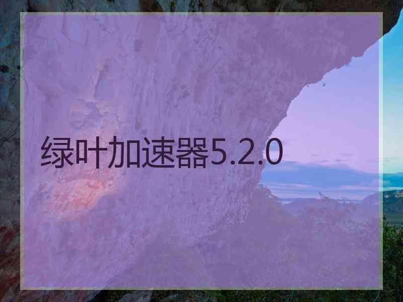 绿叶加速器5.2.0