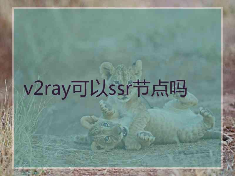 v2ray可以ssr节点吗