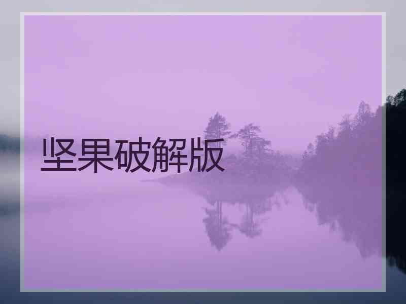 坚果破解版