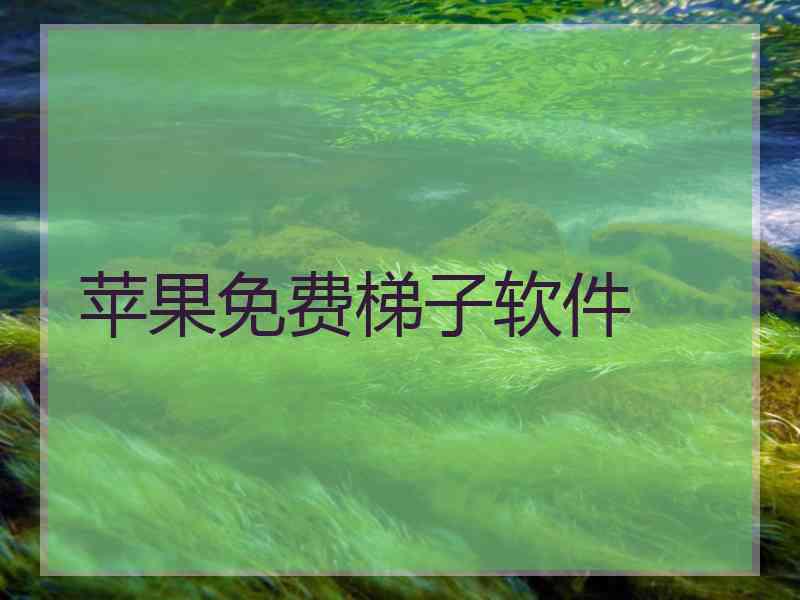 苹果免费梯子软件