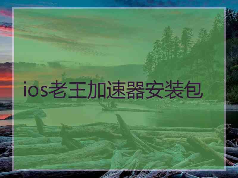 ios老王加速器安装包