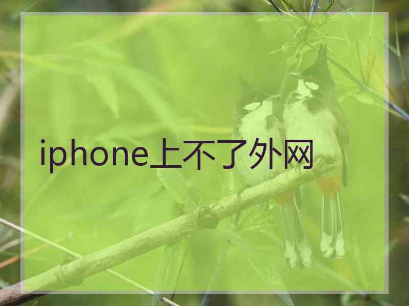 iphone上不了外网