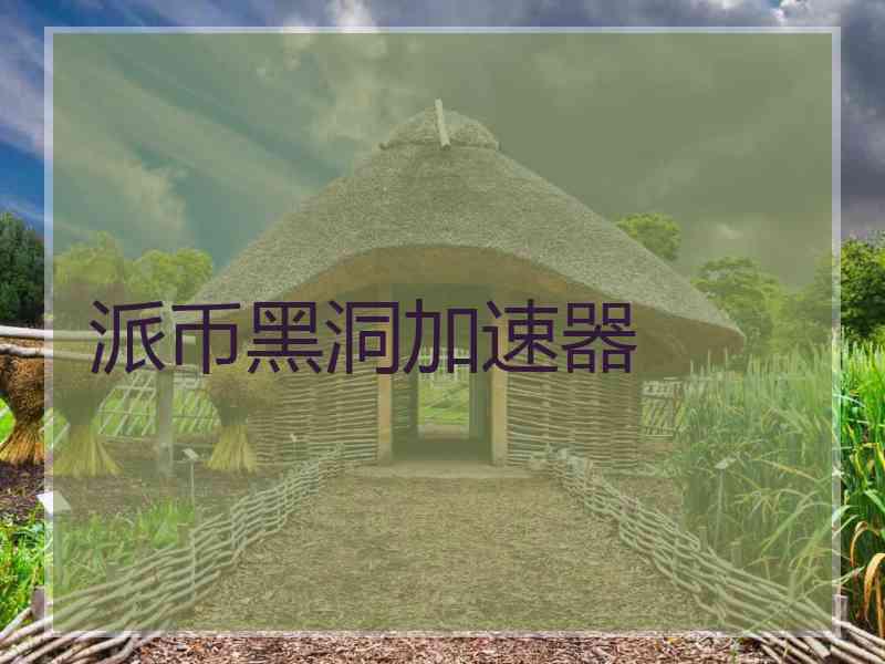 派币黑洞加速器