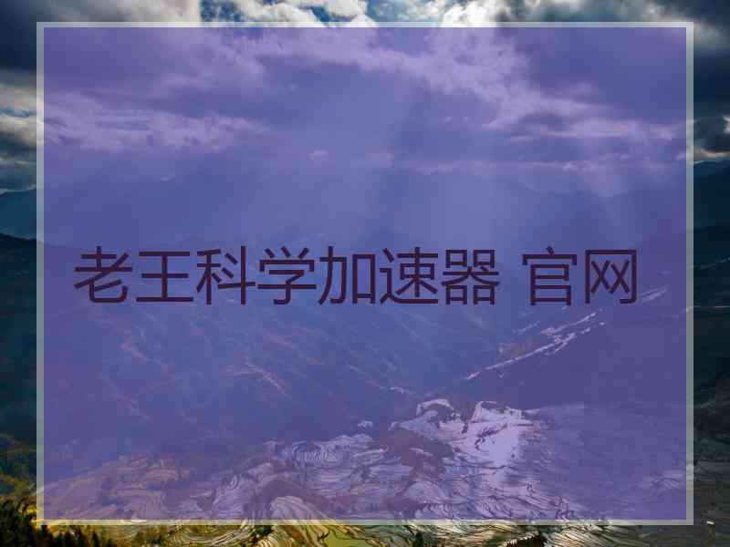 老王科学加速器 官网