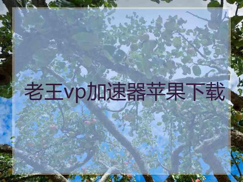 老王vp加速器苹果下载