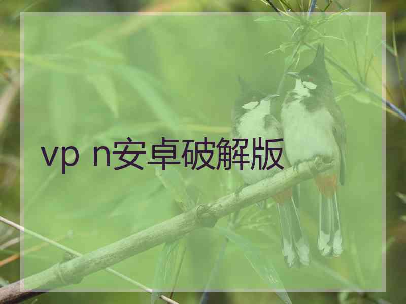 vp n安卓破解版