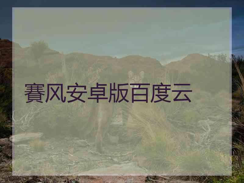 賽风安卓版百度云