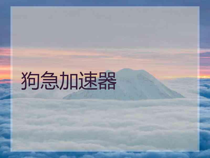 狗急加速器