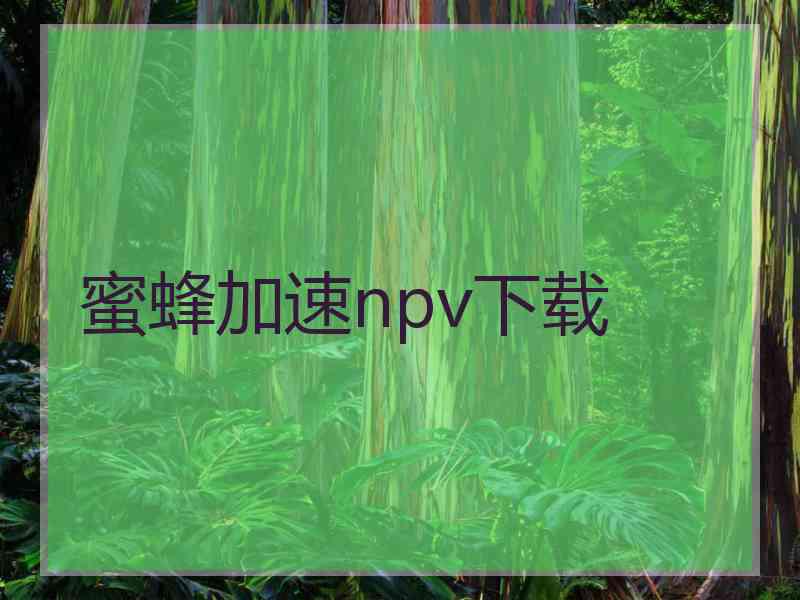 蜜蜂加速npv下载