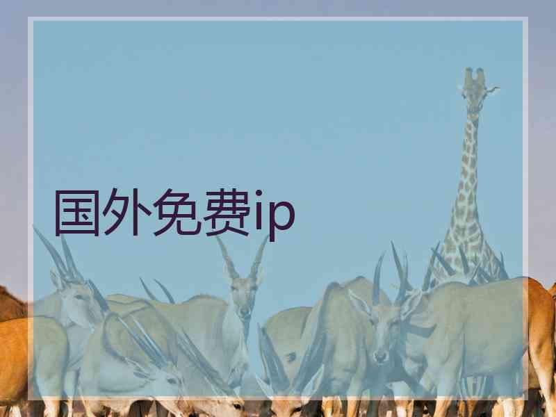 国外免费ip