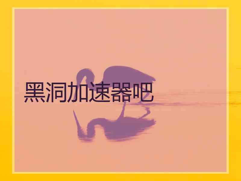 黑洞加速器吧
