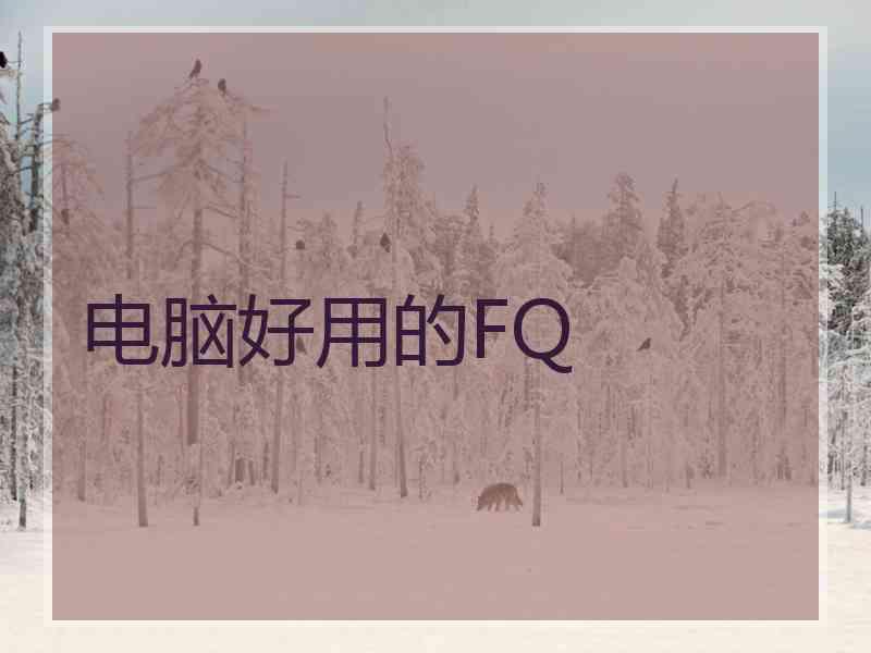 电脑好用的FQ