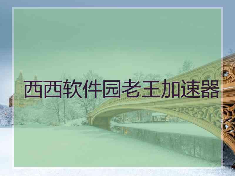 西西软件园老王加速器