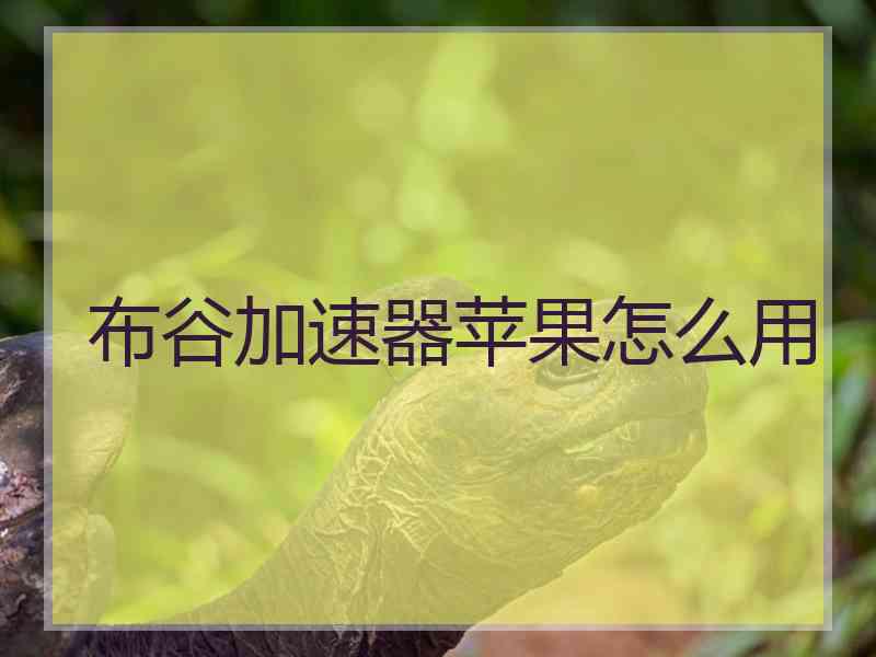 布谷加速器苹果怎么用