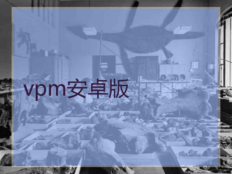 vpm安卓版