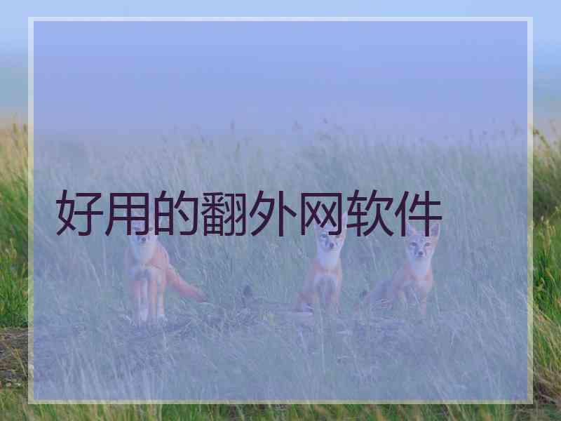 好用的翻外网软件