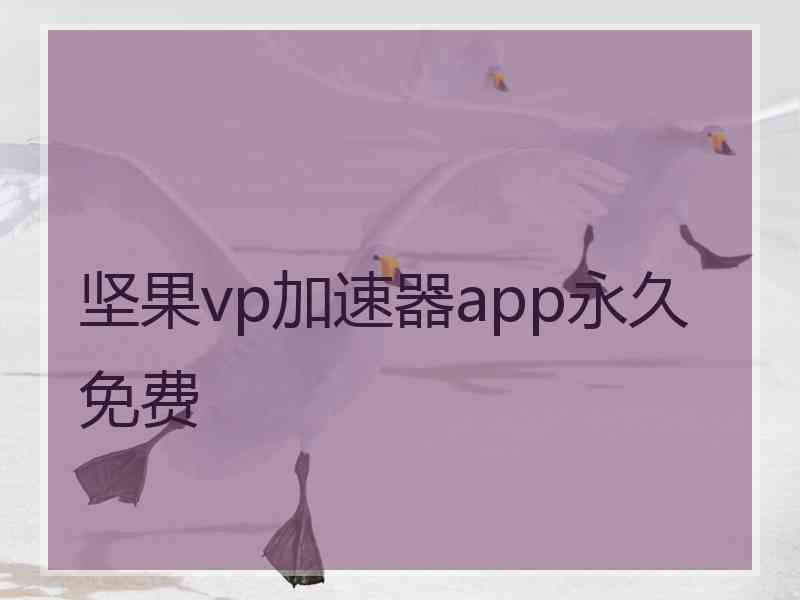 坚果vp加速器app永久免费
