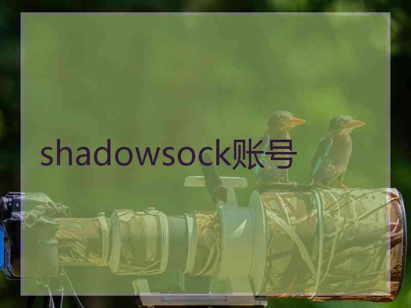 shadowsock账号