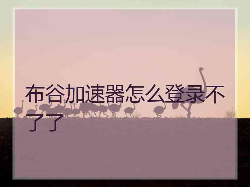 布谷加速器怎么登录不了了