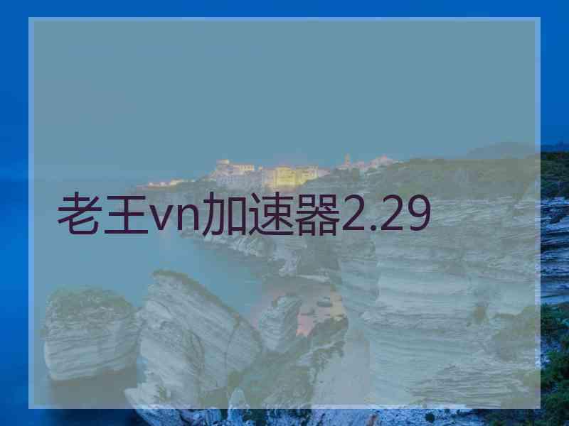 老王vn加速器2.29
