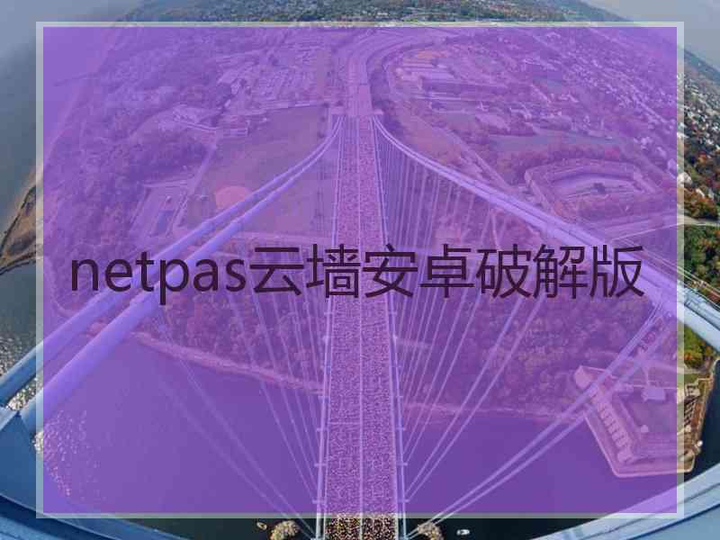 netpas云墙安卓破解版