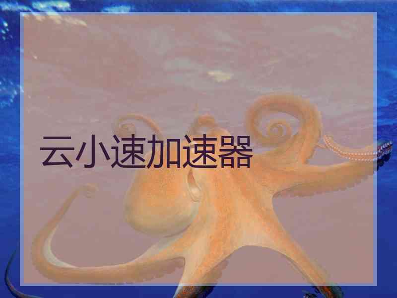 云小速加速器