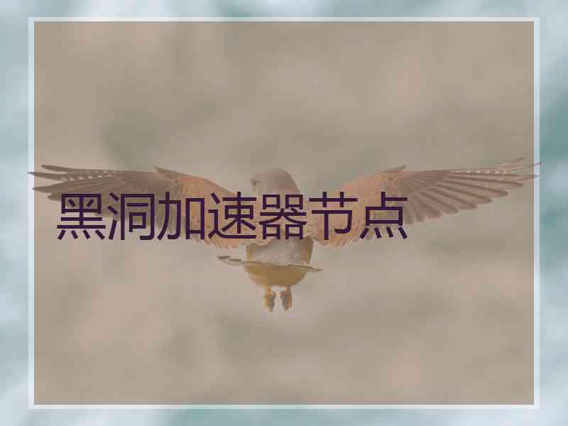黑洞加速器节点
