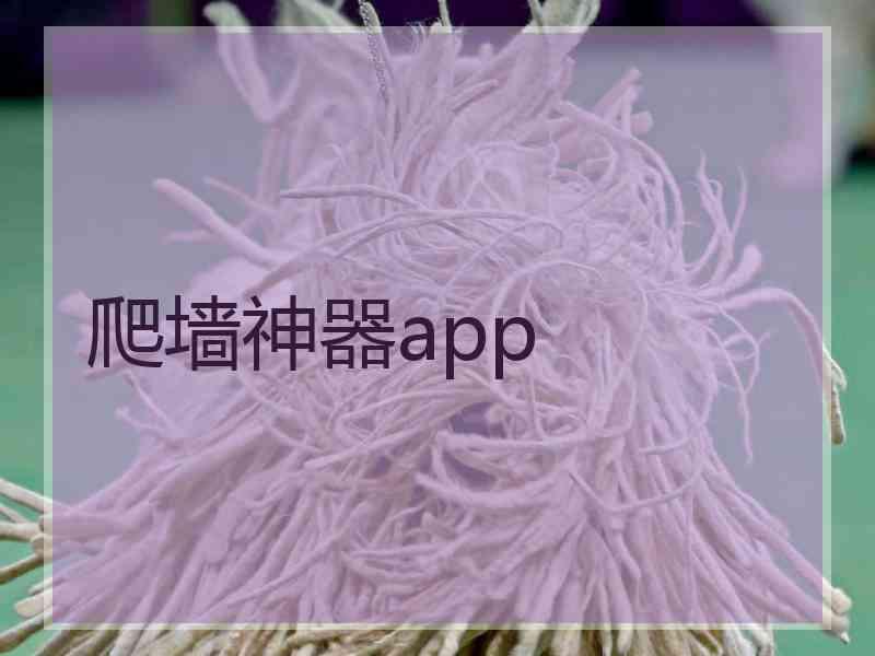 爬墙神器app