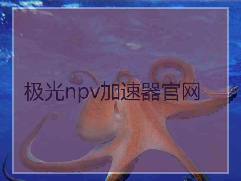 极光npv加速器官网