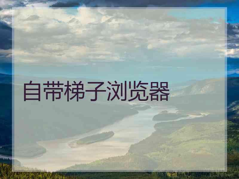 自带梯子浏览器