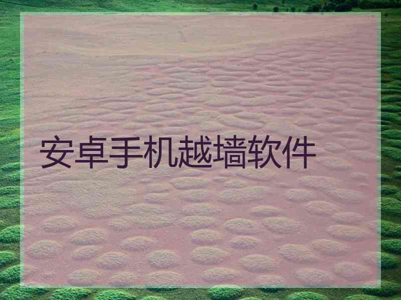 安卓手机越墙软件