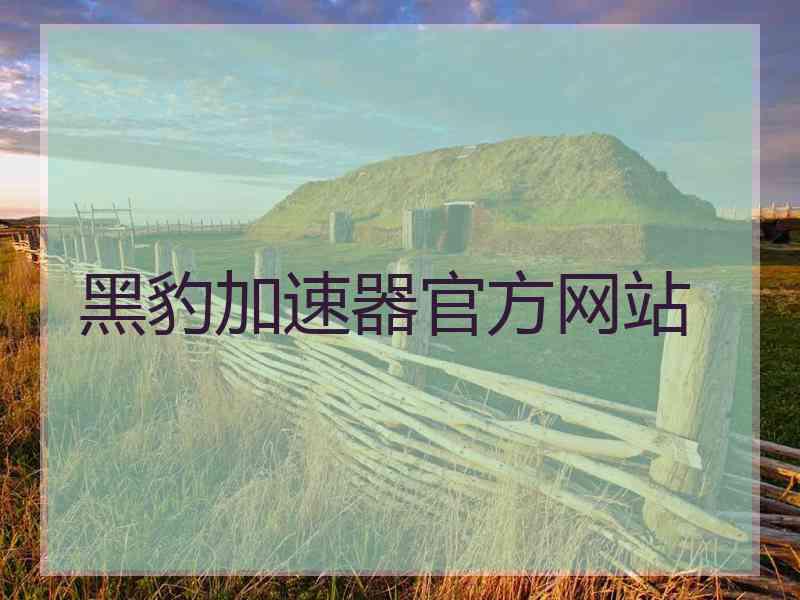 黑豹加速器官方网站