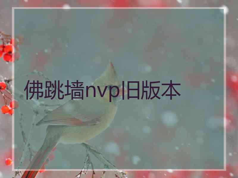 佛跳墙nvp旧版本