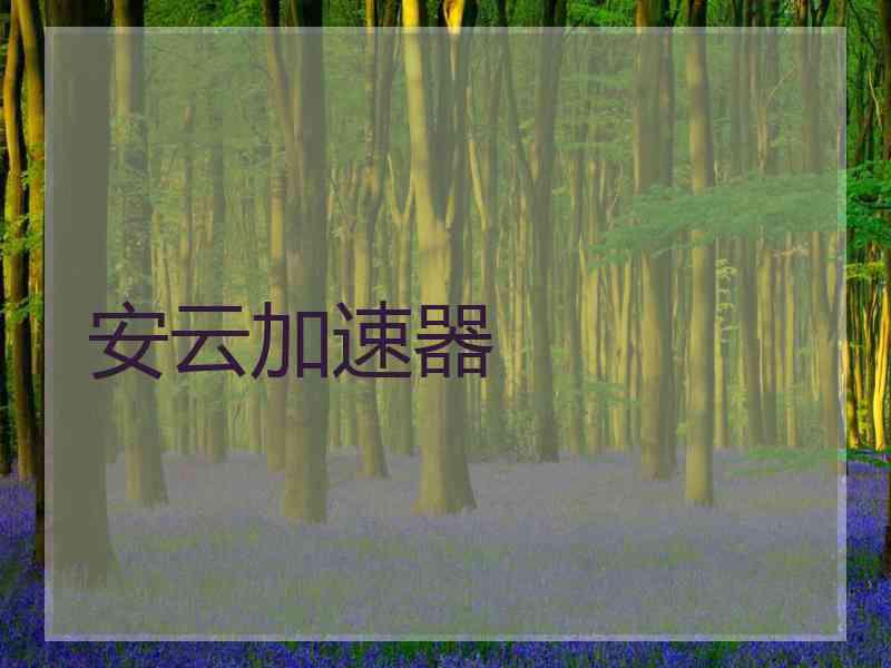 安云加速器