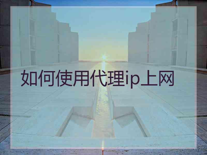 如何使用代理ip上网