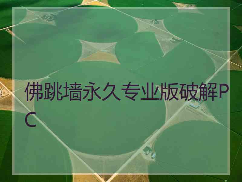 佛跳墙永久专业版破解PC