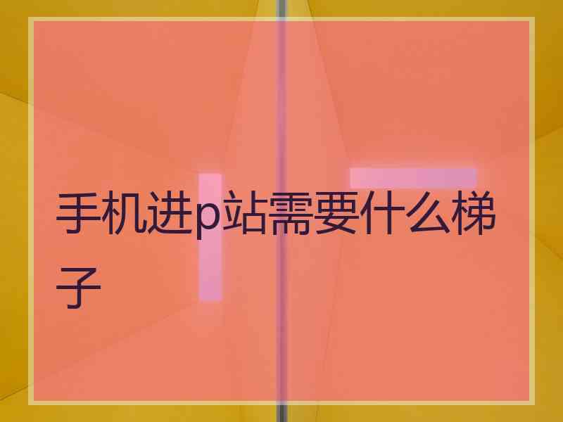 手机进p站需要什么梯子