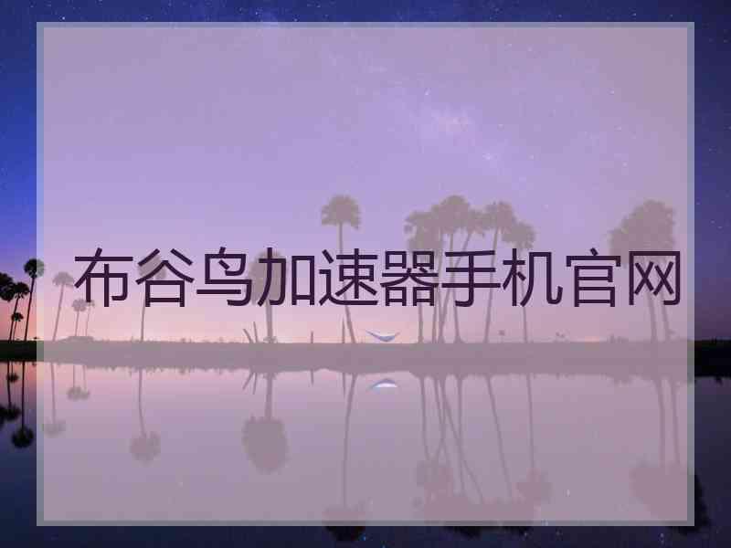 布谷鸟加速器手机官网