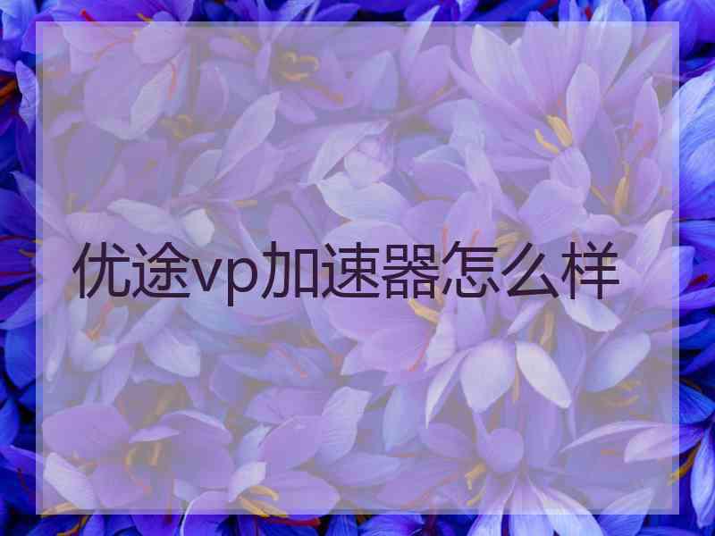 优途vp加速器怎么样