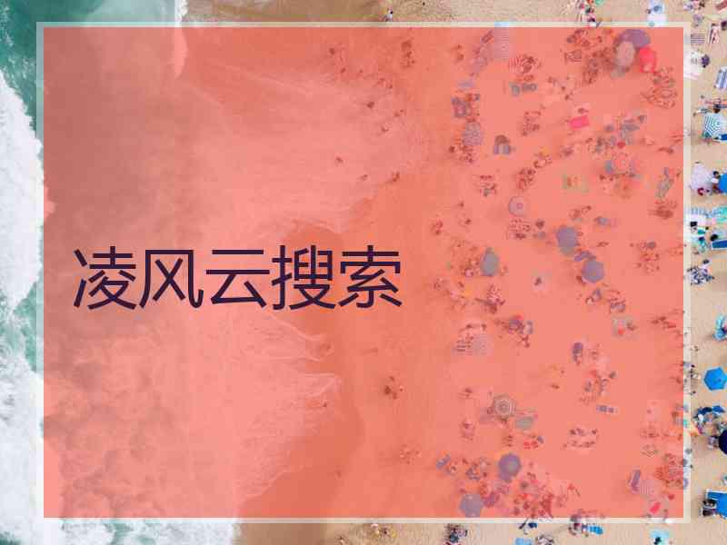 凌风云搜索