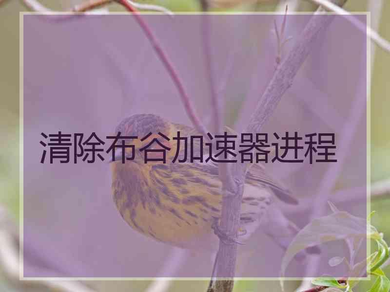 清除布谷加速器进程