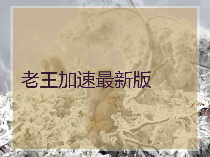 老王加速最新版