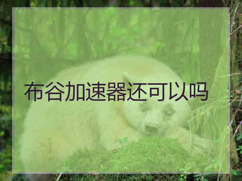 布谷加速器还可以吗