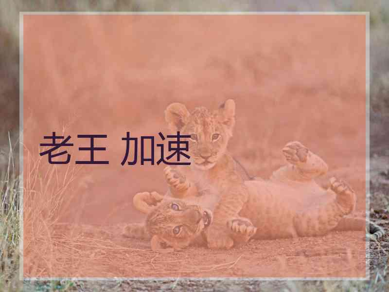 老王 加速