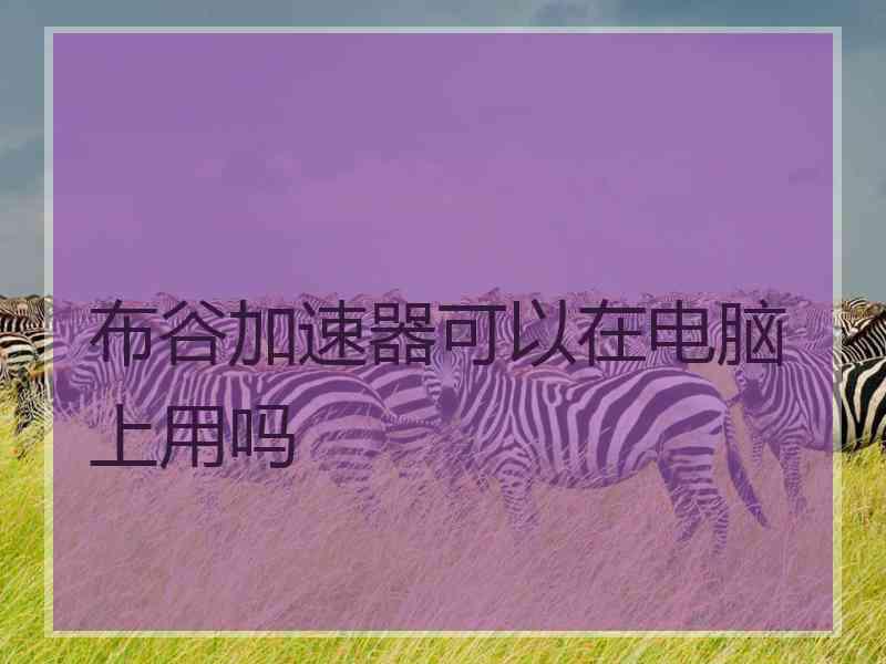 布谷加速器可以在电脑上用吗