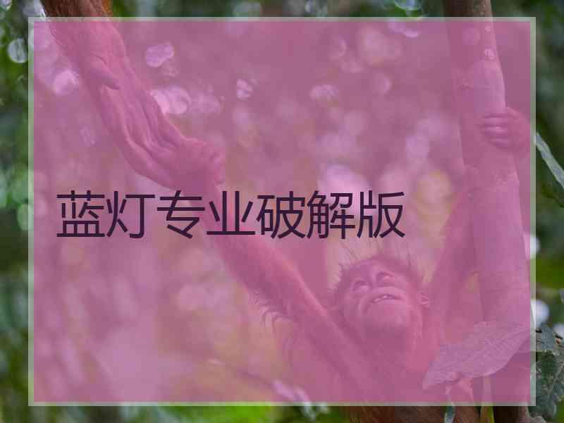 蓝灯专业破解版